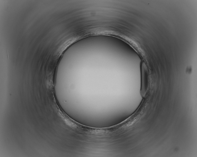 X0000090740897200708031543