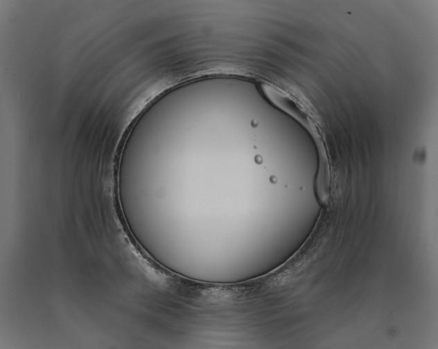 X0000090740898200708031543