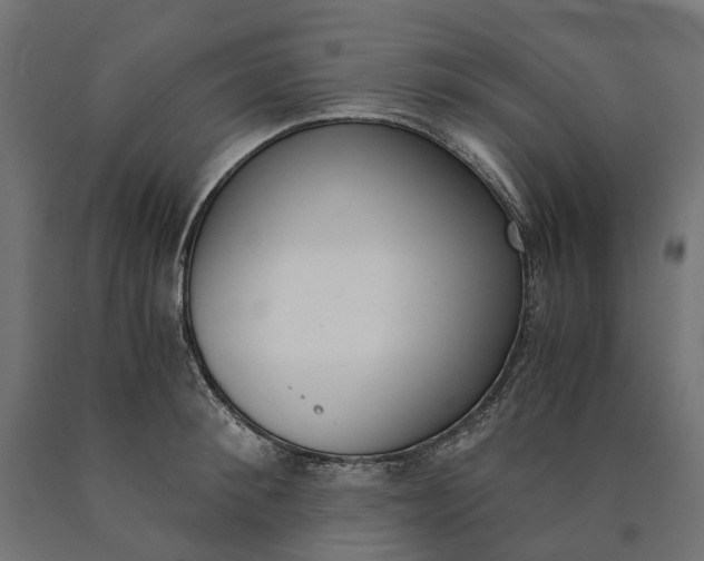 X0000090740900200708031543