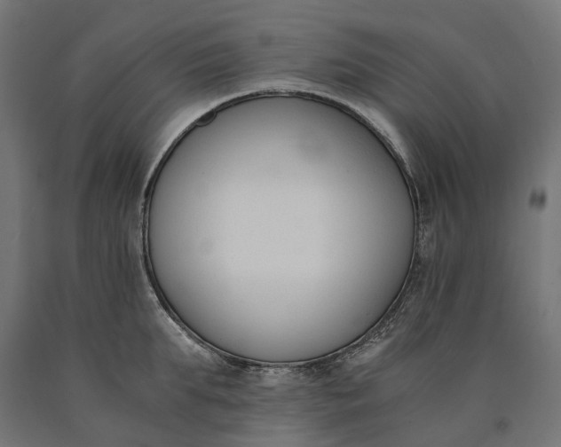 X0000090740903200708031543