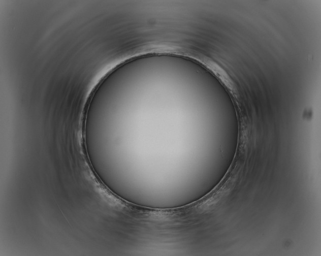 X0000090740904200708031543