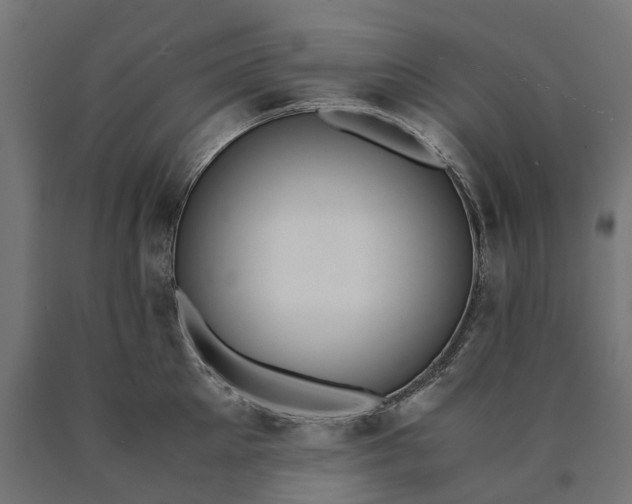 X0000090740905200708031543