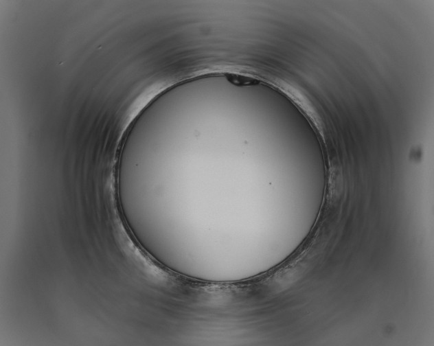 X0000090740906200708031543