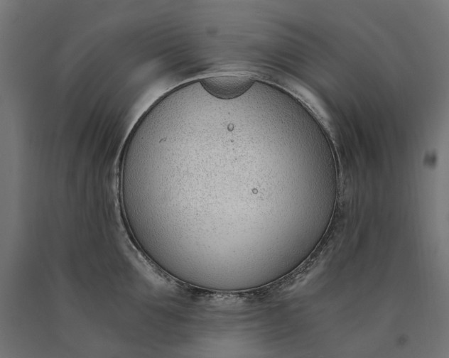 X0000090740907200708031543