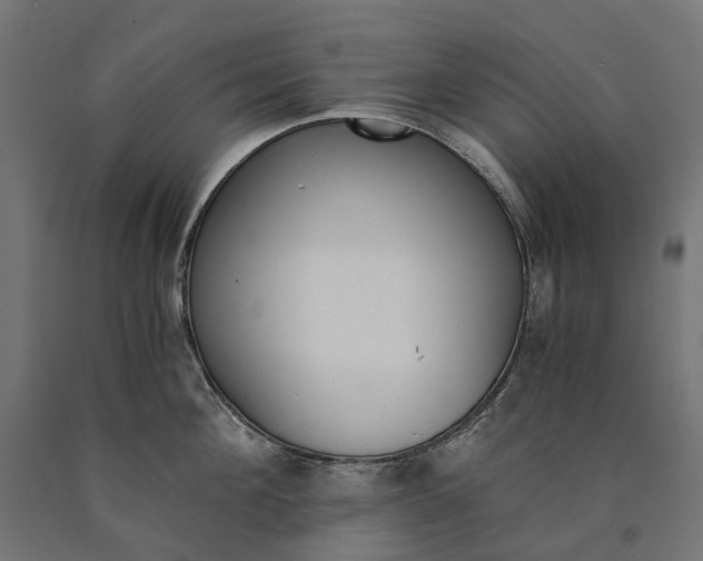 X0000090740908200708031543