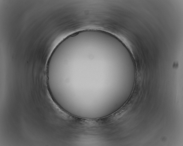 X0000090740911200708031543