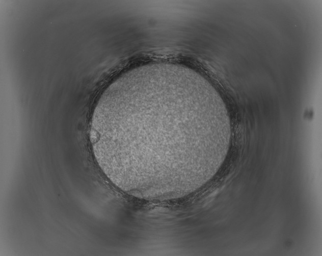 X0000090740913200708031542