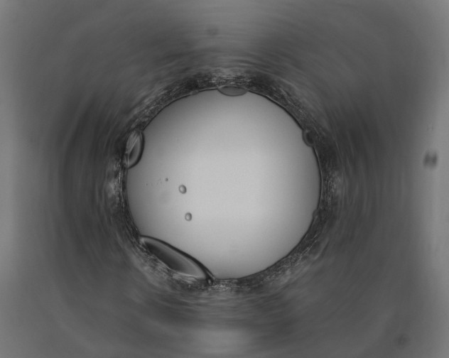 X0000090740914200708031542