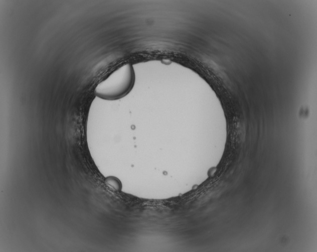 X0000090740918200708031542