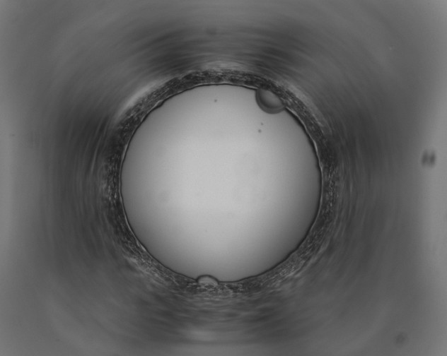 X0000090740919200708031542