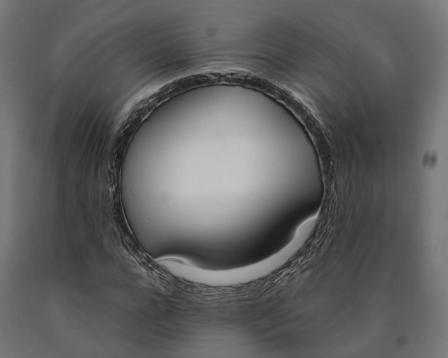 X0000090740920200708031542