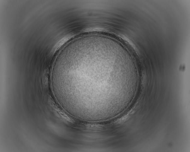 X0000090740921200708031542