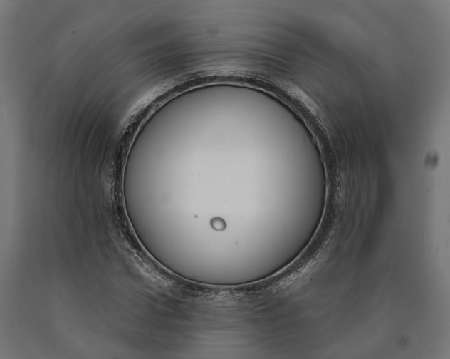 X0000090740922200708031542