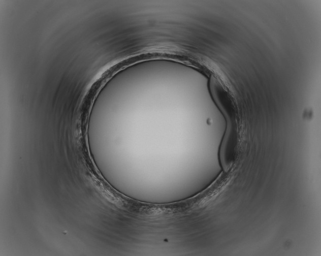 X0000090740923200708031542