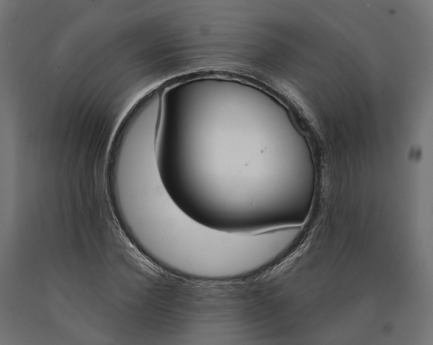 X0000090740924200708031542