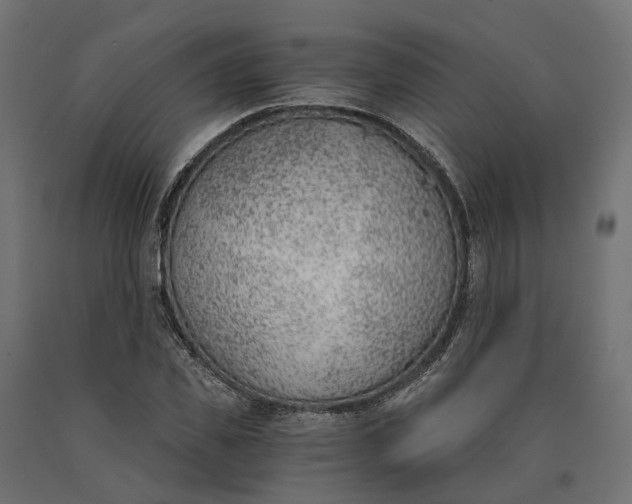 X0000090740925200708031542