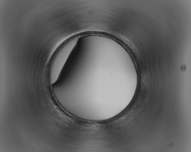 X0000090740926200708031542