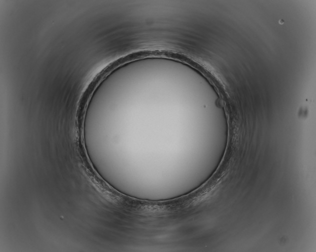 X0000090740927200708031542