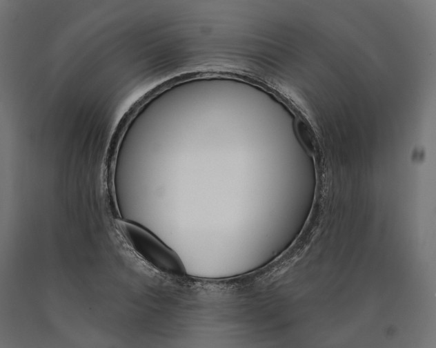 X0000090740928200708031542