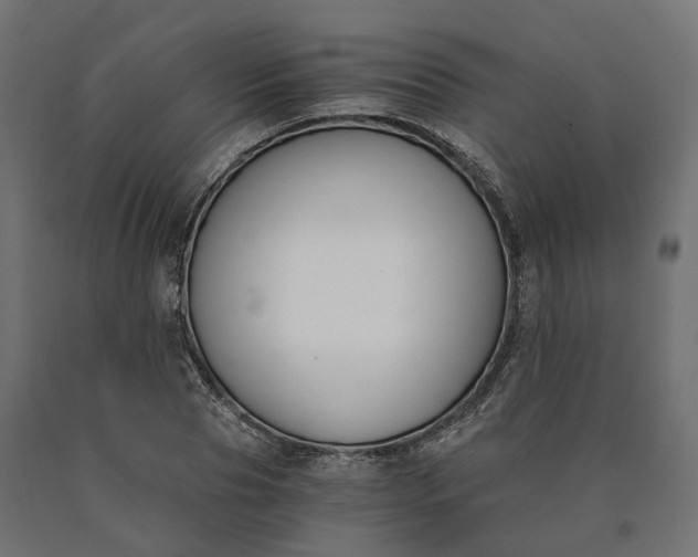 X0000090740929200708031542