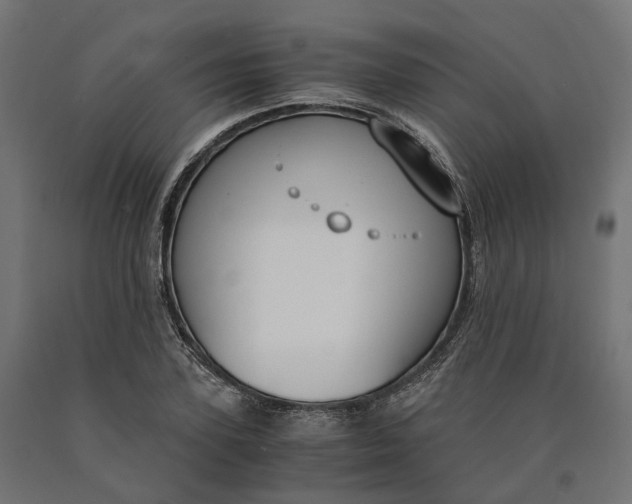 X0000090740931200708031542