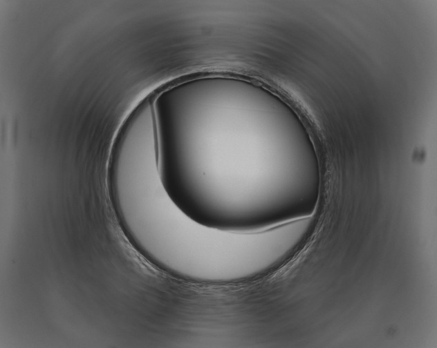 X0000090740932200708031542