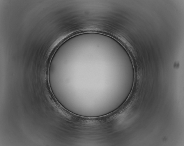 X0000090740933200708031542