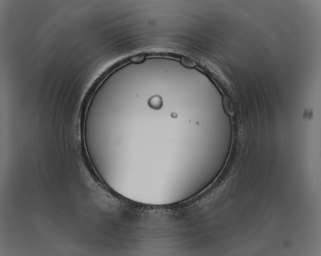 X0000090740934200708031542