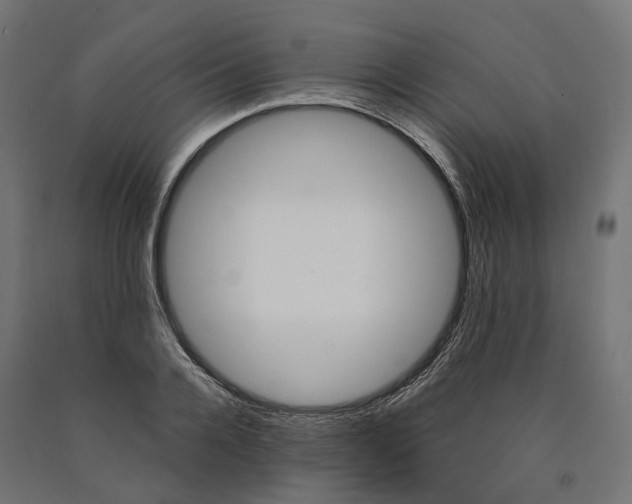 X0000090740936200708031542