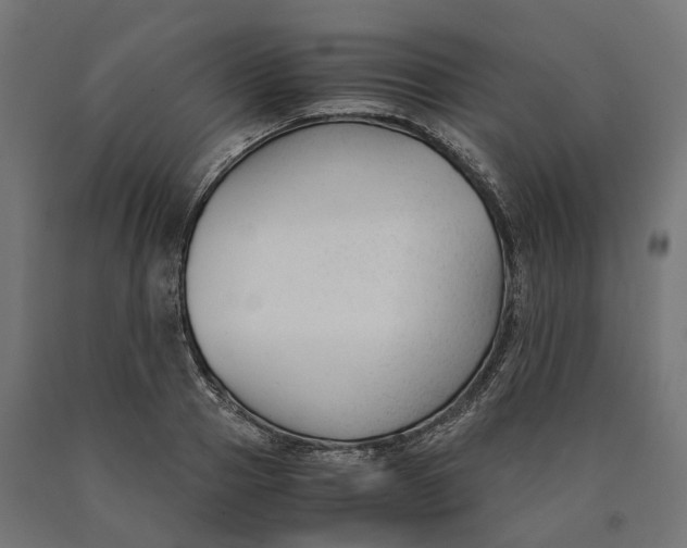 X0000090740937200708031542