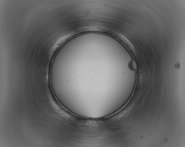 X0000090740938200708031542