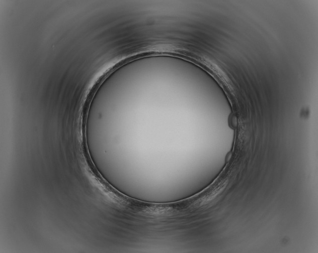 X0000090740939200708031543