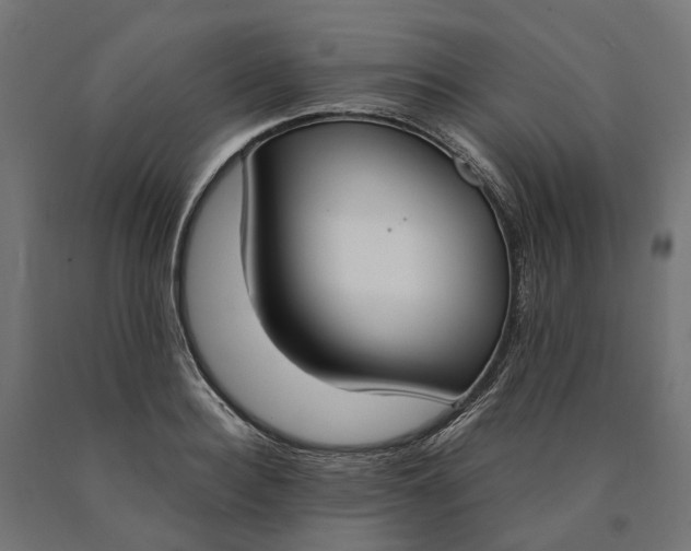 X0000090740940200708031543