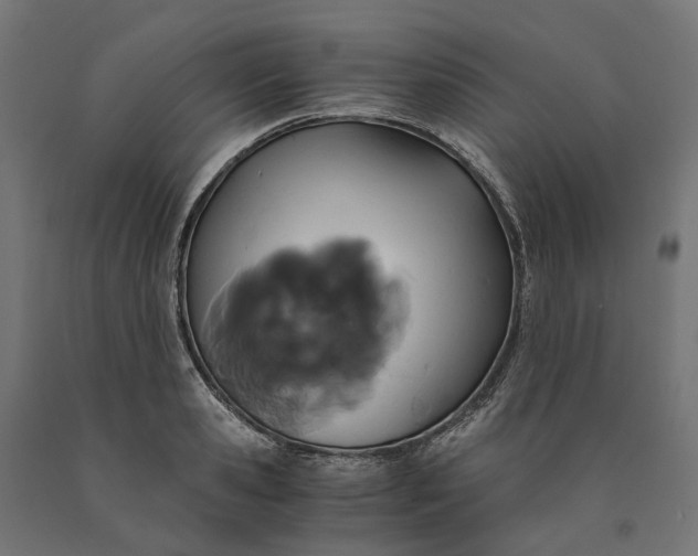 X0000090740941200708031543