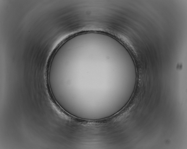 X0000090740942200708031543