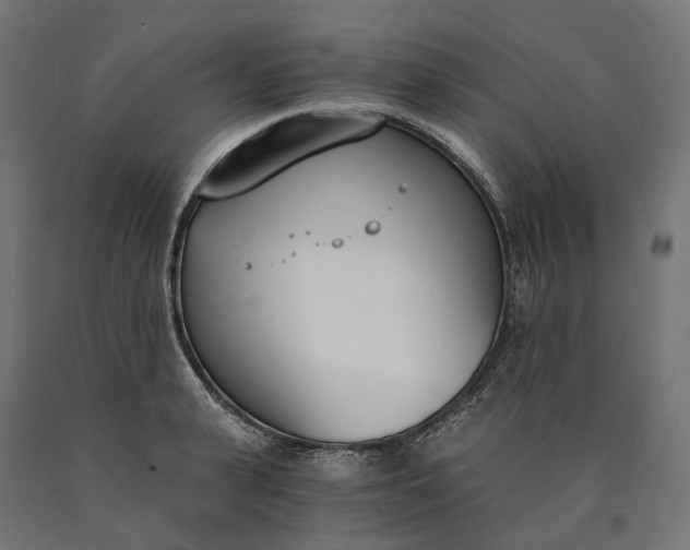 X0000090740943200708031543