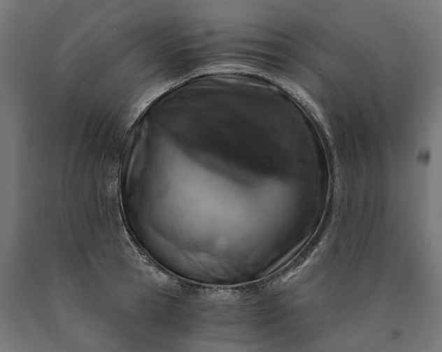 X0000090740945200708031543