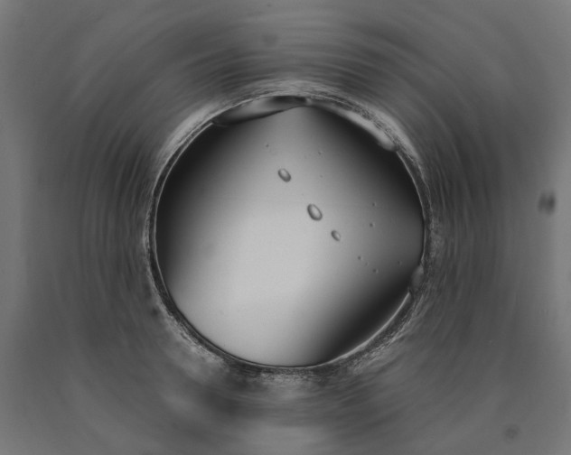 X0000090740946200708031543