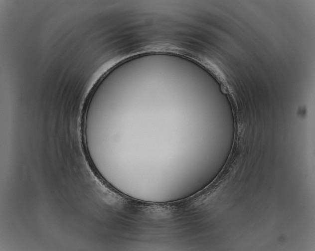 X0000090740947200708031543