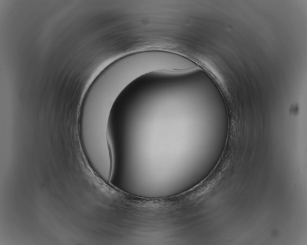 X0000090740948200708031543