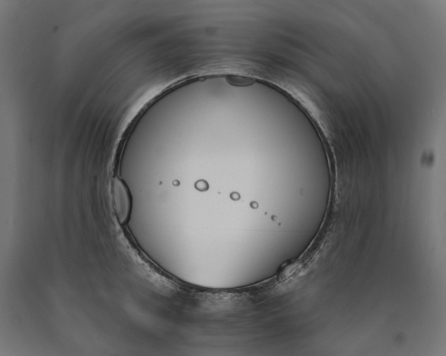 X0000090740949200708031543