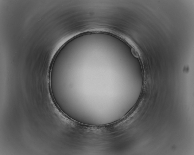 X0000090740951200708031543