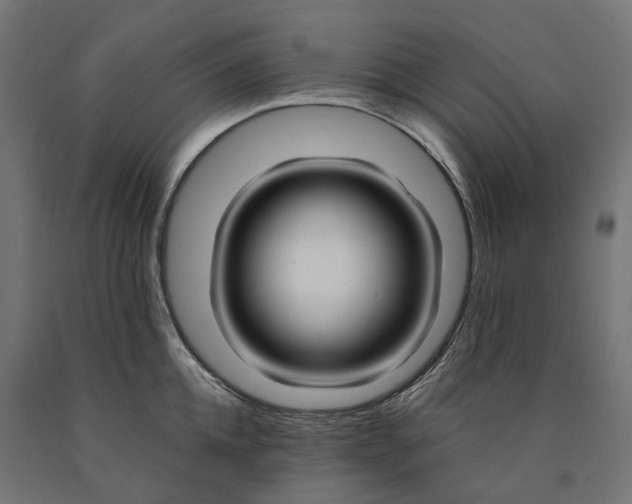 X0000090740952200708031543