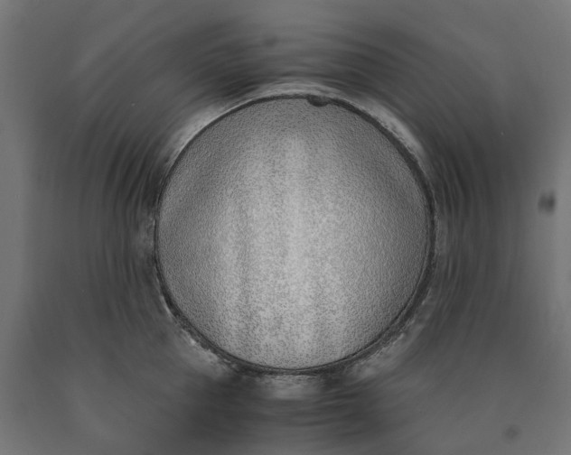 X0000090740953200708031543