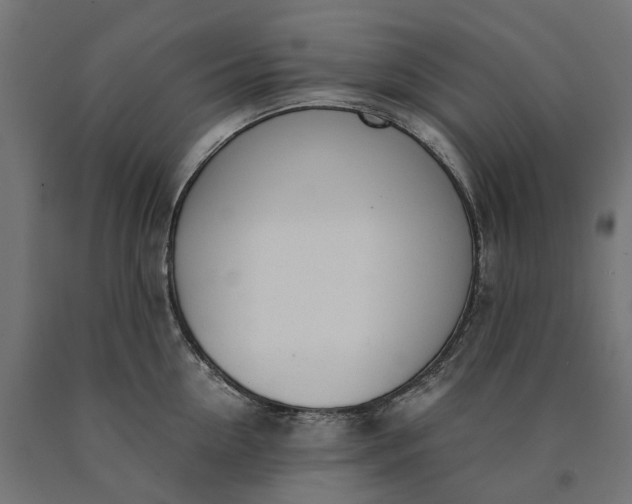 X0000090740954200708031543