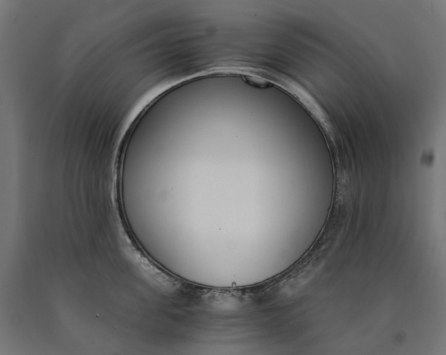 X0000090740955200708031543