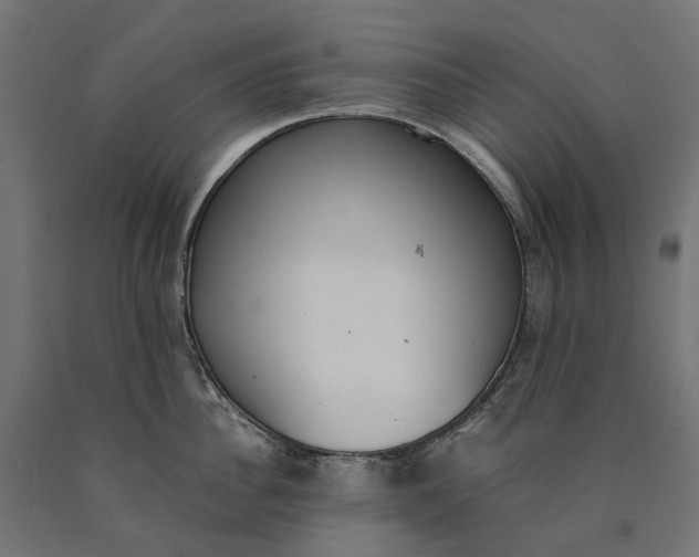 X0000090740956200708031543