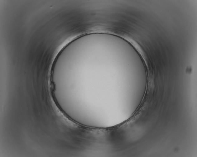 X0000090740957200708031543