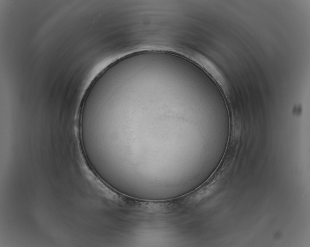 X0000090740958200708031543