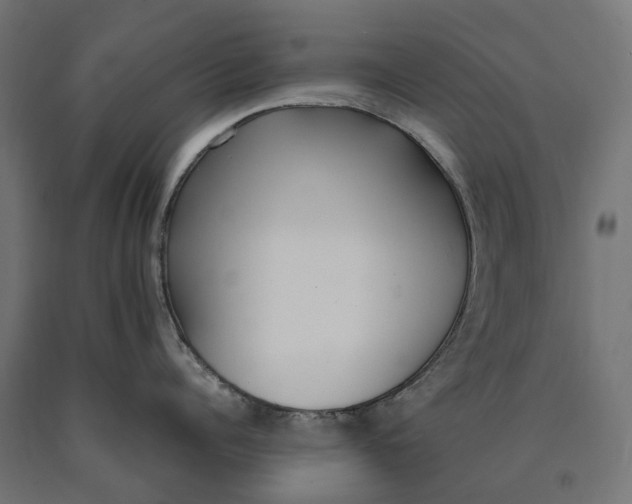 X0000090740960200708031543